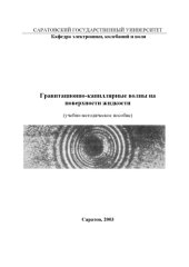 book Гравитационно-капиллярные волны на поверхности жидкости: Учебно-методическое пособие