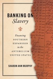 book Banking on Slavery: Financing Southern Expansion in the Antebellum United States