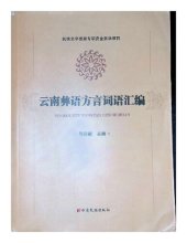 book 云南彝语方言词语汇编