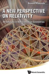 book A New Perspective on Relativity: An Odyssey in Non-Euclidean Geometries