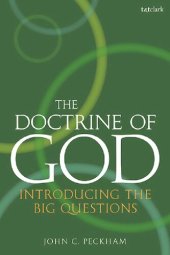 book The Doctrine of God: Introducing the Big Questions