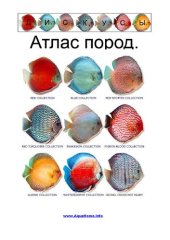 book Дискуссы. Атлас пород.