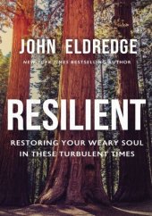 book Resilient: Restoring Your Weary Soul in These Turbulent Times