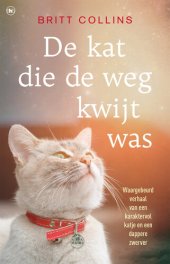 book De kat die de weg kwijt was