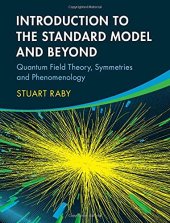 book Introduction to the Standard Model and Beyond: Quantum Field Theory, Symmetries and Phenomenology (Instructor Res. last of 2, Tables, High-Res Figures)