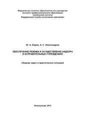 book Обеспечение режима и осуществление надзора в исправительных учреждениях