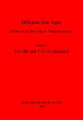 book Different Iron Ages: Studies on the Iron Age in Temperate Europe