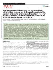 book Recovery expectations can be measured with single-item measures: findings of a systematic review and meta-analysis on the role of recovery expectations on return-to-work outcomes following musculoskeletal pain conditions