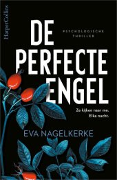 book De perfecte engel