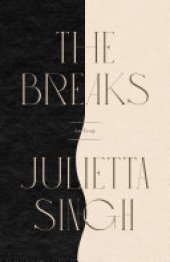 book The Breaks: An Essay