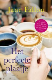 book Het perfecte plaatje