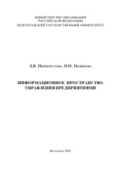 book Информационное пространство управления предприятиями