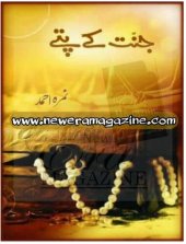 book جنت کے پتے / Jannat Kay Pattay