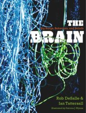 book The Brain: Big Bangs, Behaviors, and Beliefs