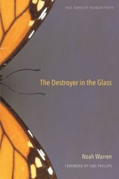 book The Destroyer in the Glass