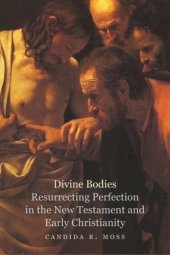 book Divine Bodies: Resurrecting Perfection in the New Testament and Early Christianity