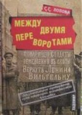 book Между двумя переворотами. Документальные свидетельства о событиях лета 1917 года в Петрограде (по французским и российским архивным источникам)