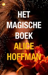 book Het magische boek