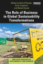 book The Role of Business in Global Sustainability Transformations