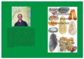 book Агаты, сердолики, яшмоиды Норильска