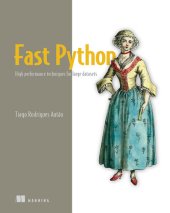 book Fast Python: High performance techniques for large datasets