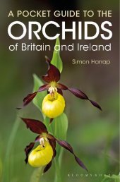 book Pocket Guide to the Orchids of Britain and Ireland