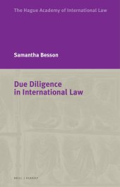 book Due Diligence in International Law