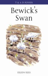 book Bewick’s Swan