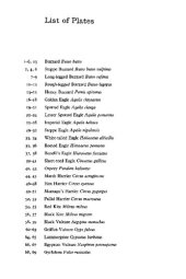 book Flight Identification of European Raptors