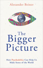 book The Bigger Picture