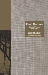 book Final Matters: Selected Poems, 2004-2010