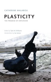 book Plasticity: The Promise of Explosion