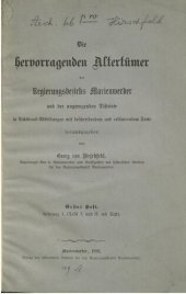 book Die hervorragenden Altertümer des Regierungsbezirks Marienwerder und der angrenzenden Distrikte