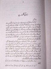 book زندگی گلزار ہے / Zindagi Gulzar Hai