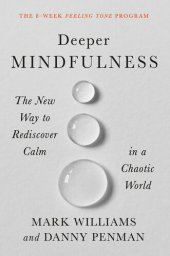 book Deeper Mindfulness