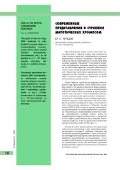 book Современные представления о строении митотических хромосом