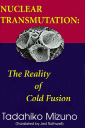 book Nuclear Transmutation: The Reality of Cold Fusion