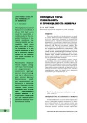 book Липидные поры: стабильность и проницаемость мембран