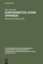 book Kurvennetze ohne Umwege