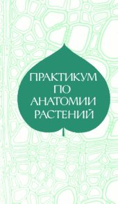 book Практикум по анатомии растений.