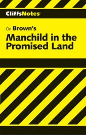 book Manchild in the Promised Land