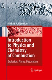 book Introduction to Physics and Chemistry of Combustion