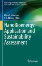 book NanoBioenergy: Application and Sustainability Assessment