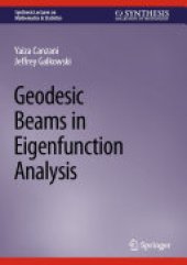 book Geodesic Beams in Eigenfunction Analysis