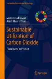 book Sustainable Utilization of Carbon Dioxide: From Waste to Product