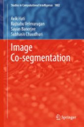 book Image Co-segmentation