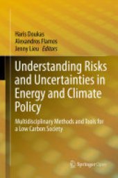 book Understanding Risks and Uncertainties in Energy and Climate Policy: Multidisciplinary Methods and Tools for a Low Carbon Society