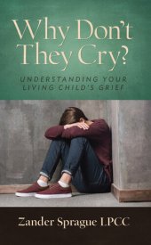 book Why Don’t They Cry?: Understanding Your Living Child’s Grief