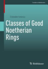 book Classes of Good Noetherian Rings