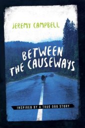 book Between the Causeways